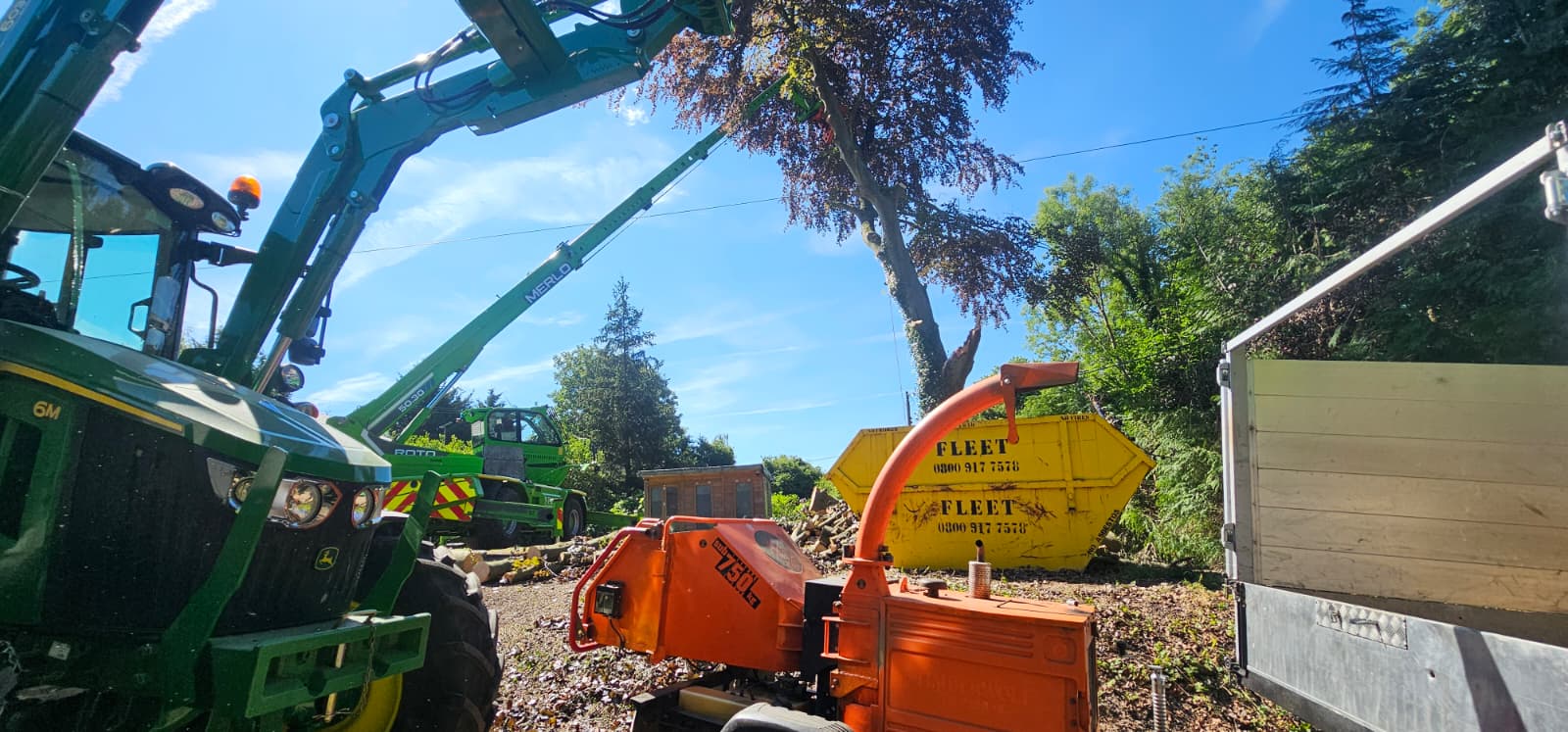 Recent tree work