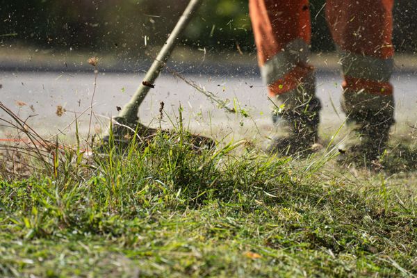 Garden Maintenance